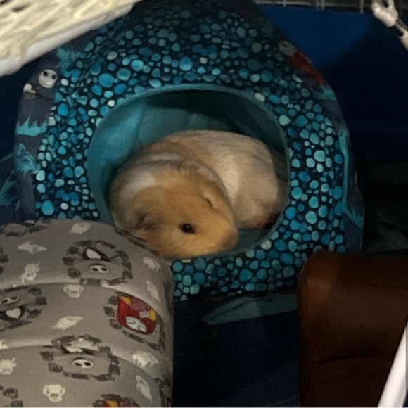 Guinea Pig Handmade Hut Bed Soft Flannel Fleece Hearts Bearded Dragon Rust Cream - Picture 10 of 10